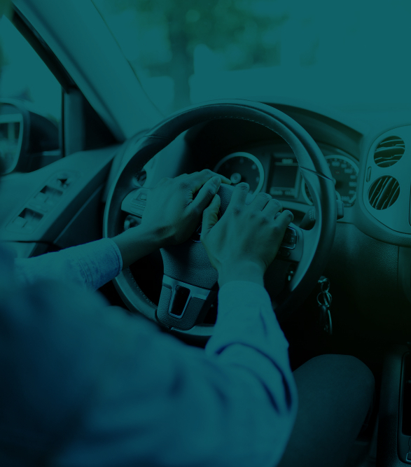 <span style="font-weight: bold;">On-line обучение </span>